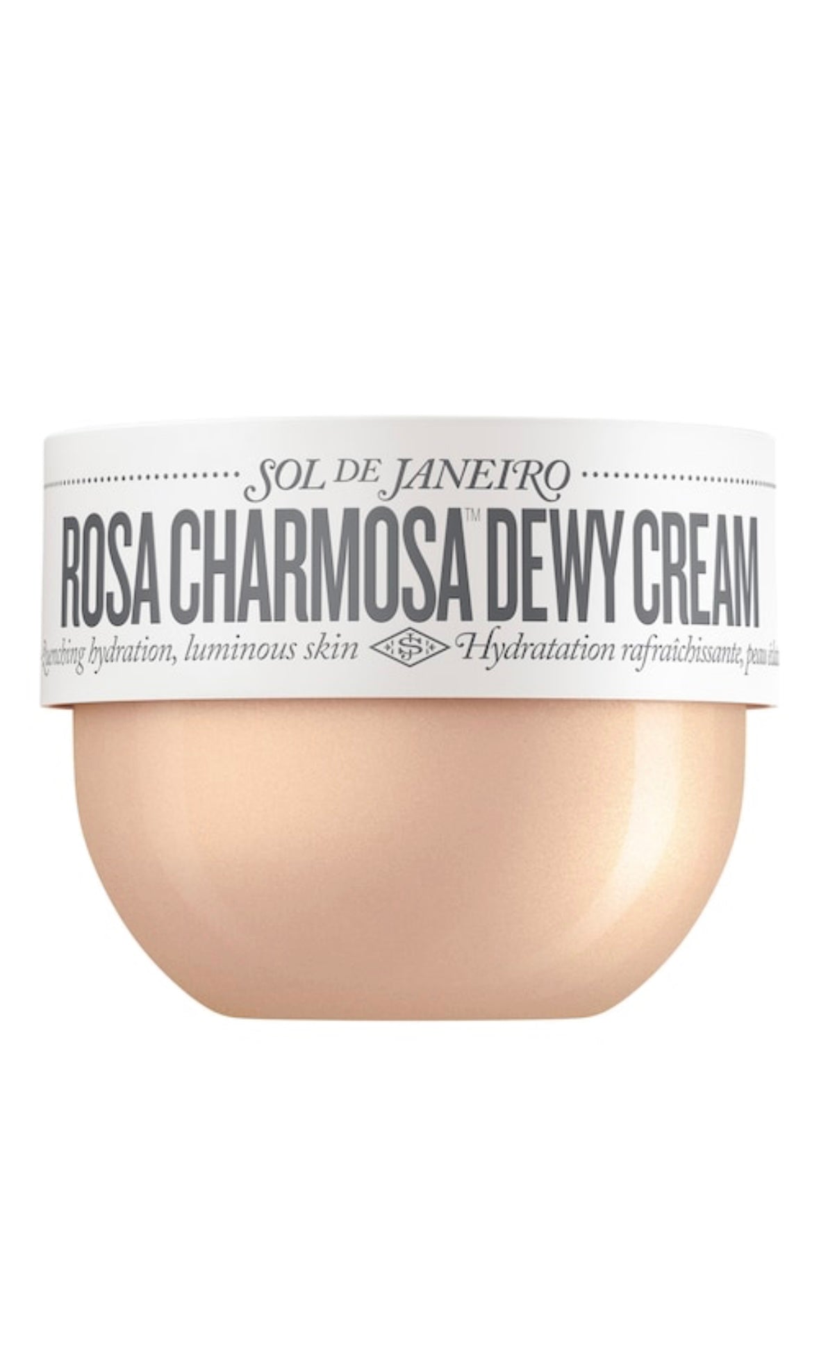 Rosa Charmosa Dewy Cream